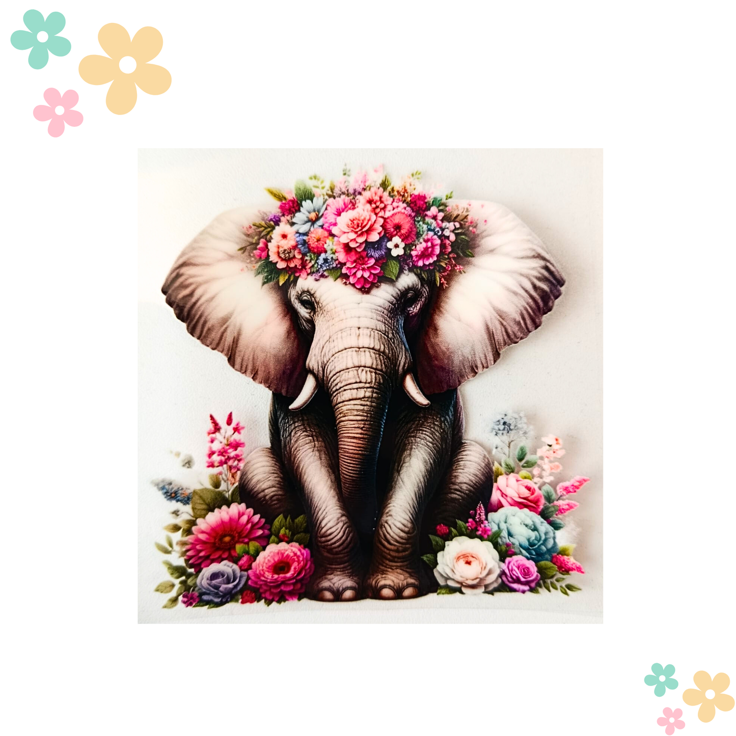Elephant Floral