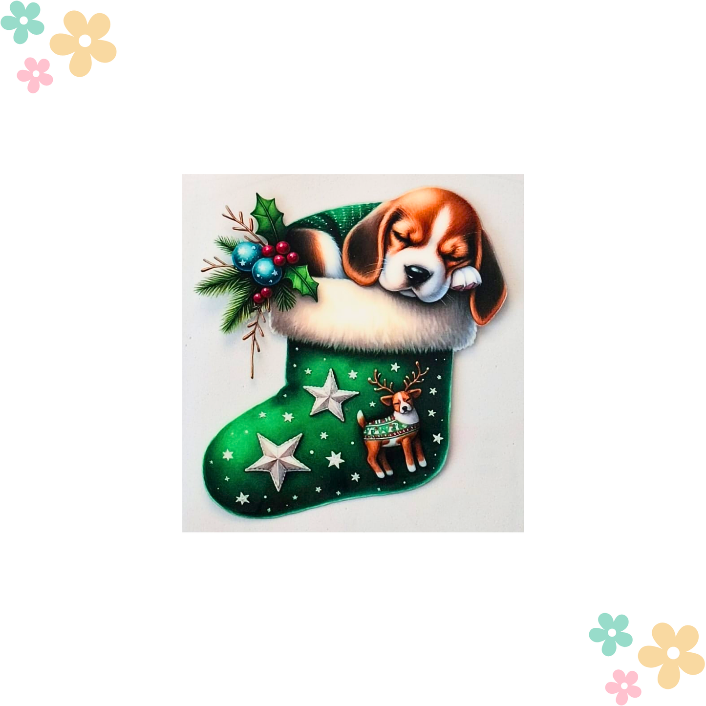 Beagle Chaussette