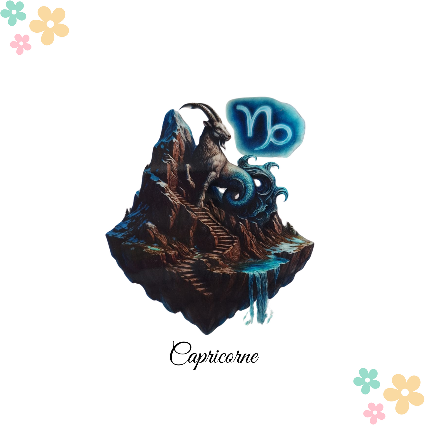 Capricorne N°2