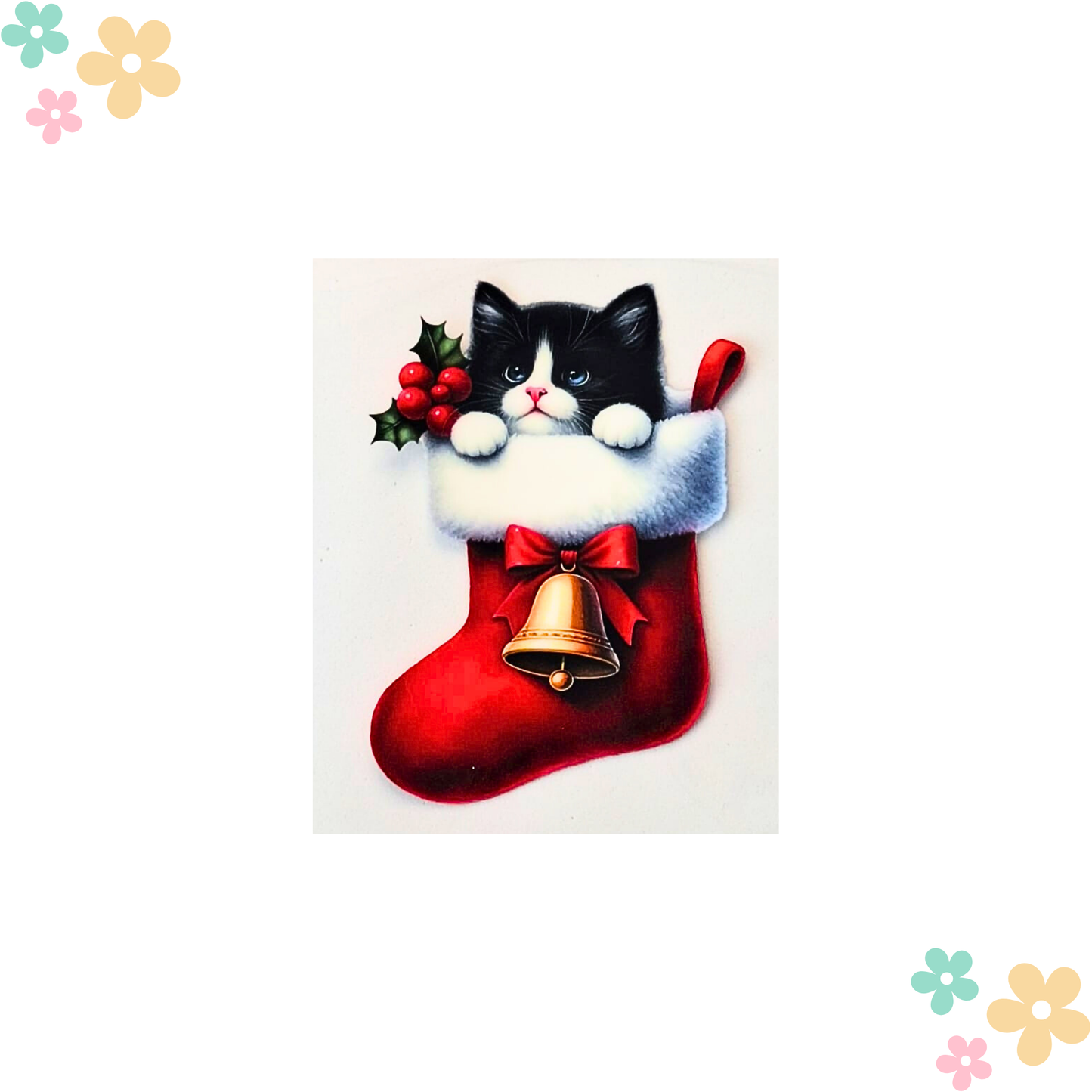 Chat norvégien Chaussette