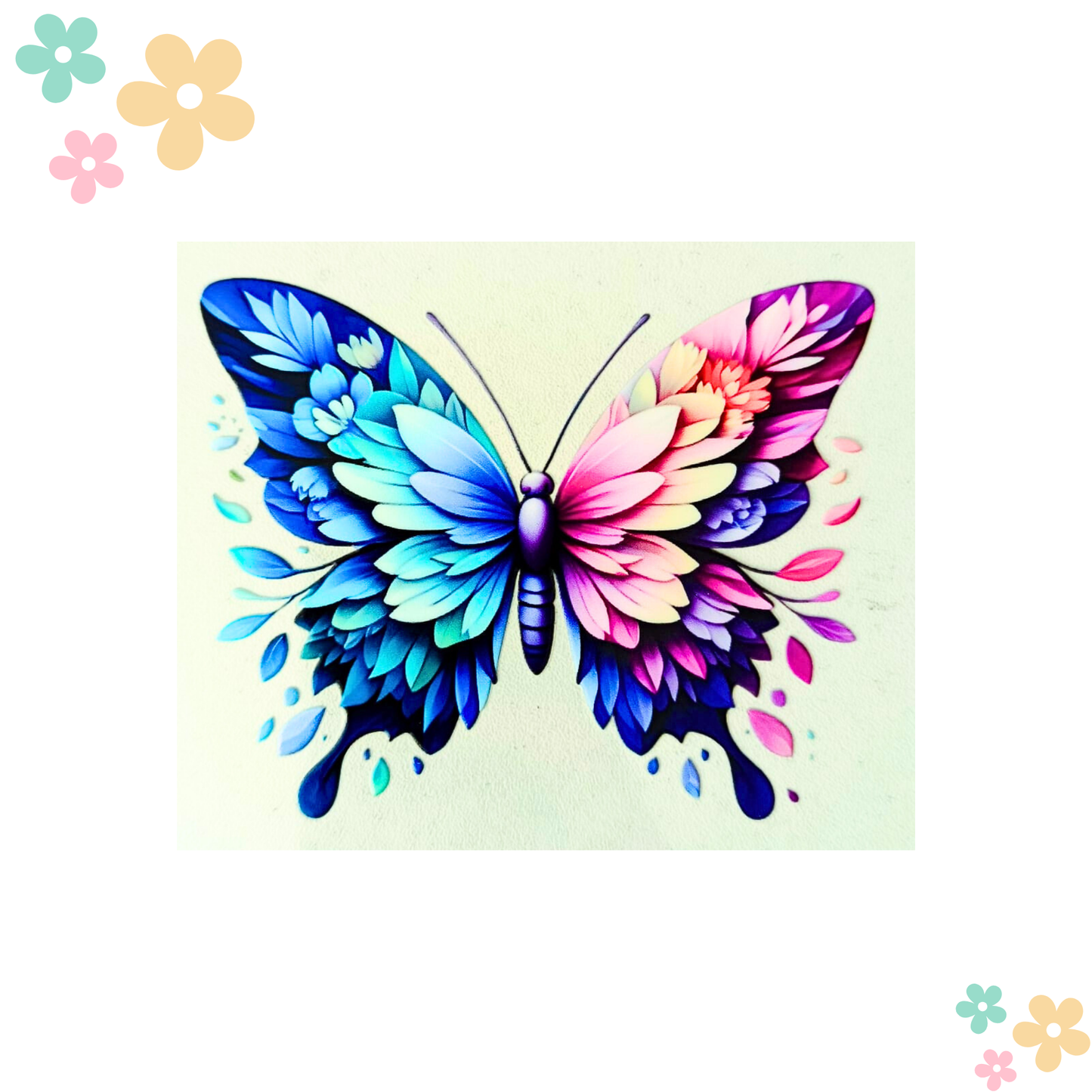Papillon Floral bicolore