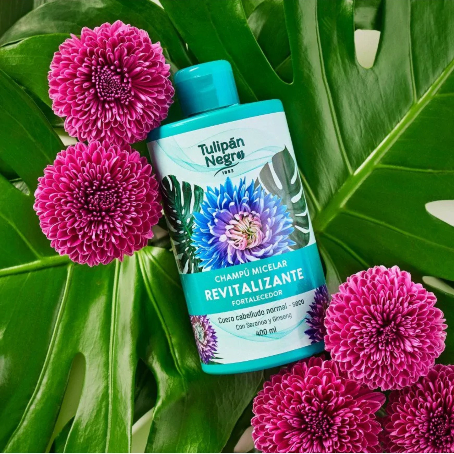 Shampoing TULIPAN NEGRO - Revitalisant 400ml