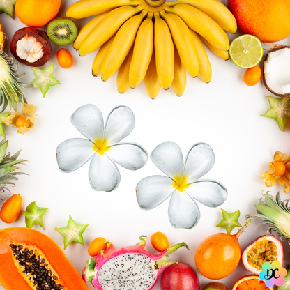 Bisou Tropical - Fondant parfumé Tiaré Fleurs Blanches