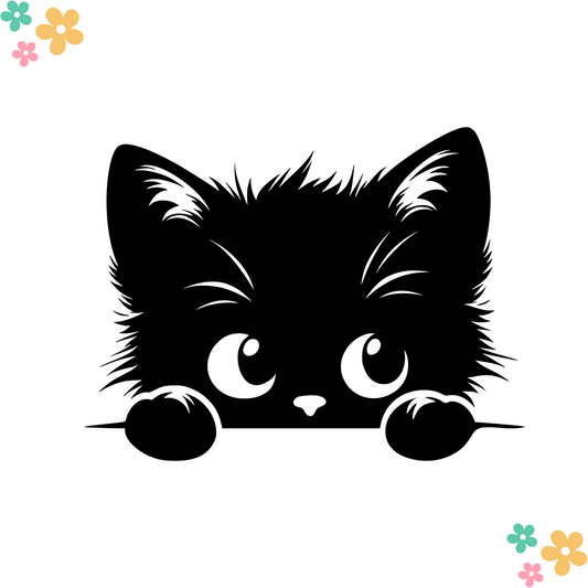 Chaton 1