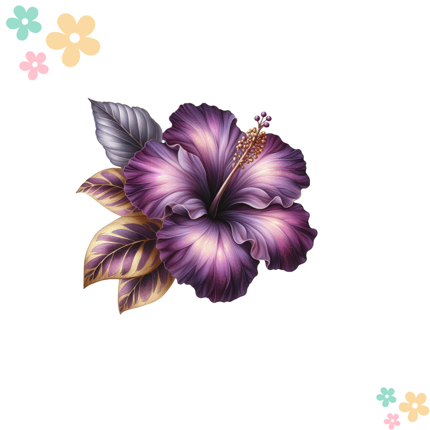 Hibiscus Or et Violet #2