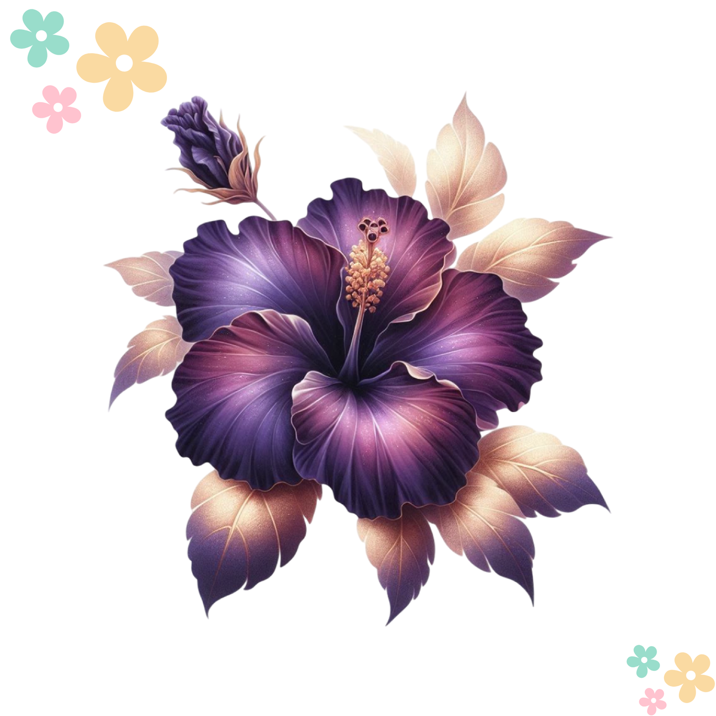 Hibiscus Or et Violet #3