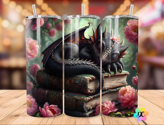 Livres et Dragon