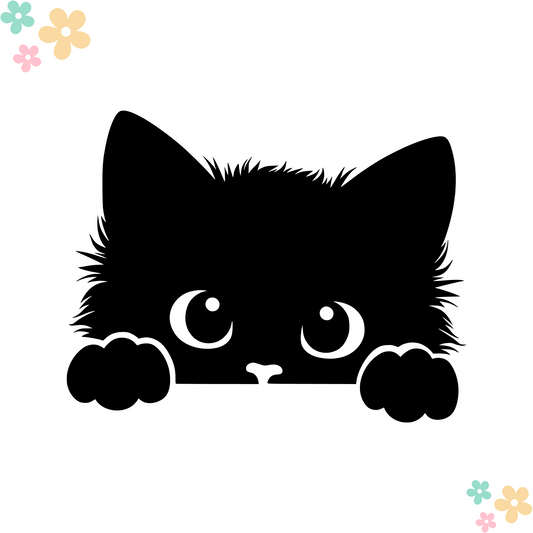 Chaton 3