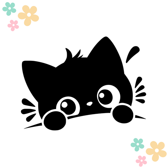 Chaton 4