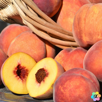 fondants verger et cueillette