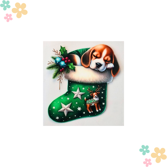 Beagle Chaussette