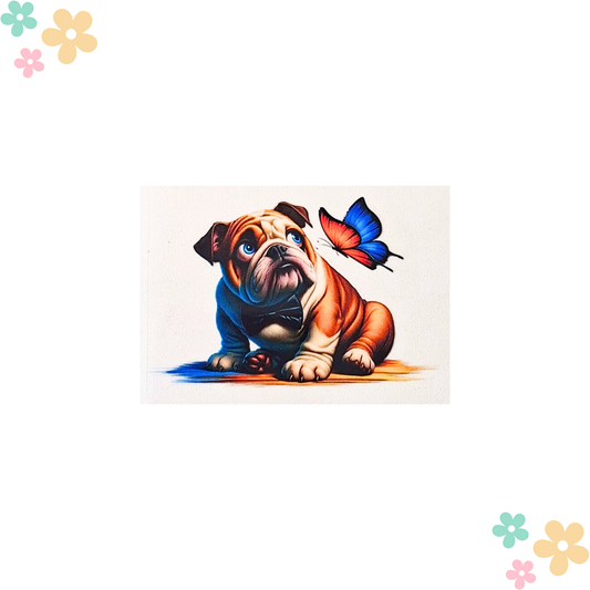 Bulldog Papillon