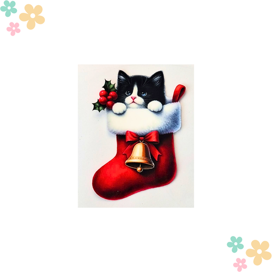 Chat norvégien Chaussette
