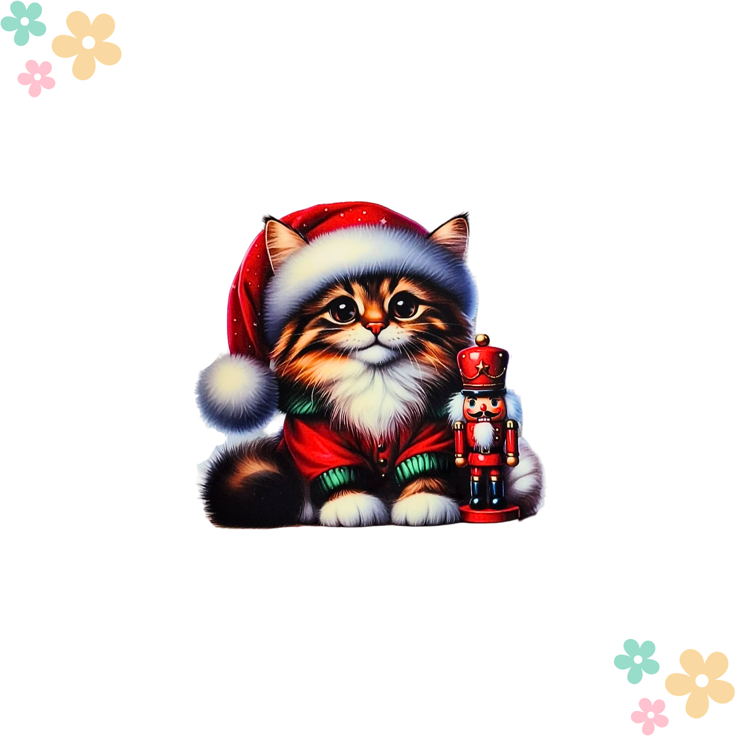 Chaton Casse Noisette