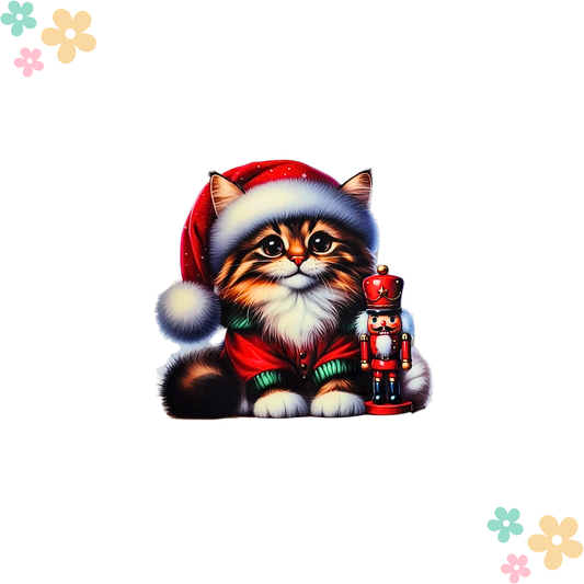 Chaton Casse Noisette
