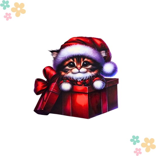 Chaton Boite Cadeau