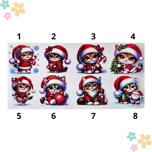 Chatons Noel