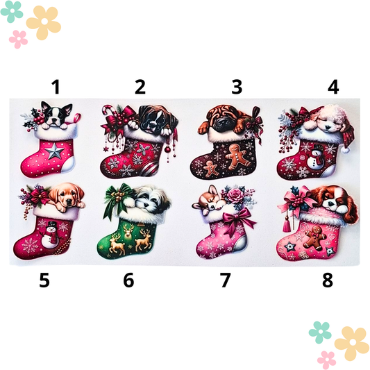 Chiots Chaussettes