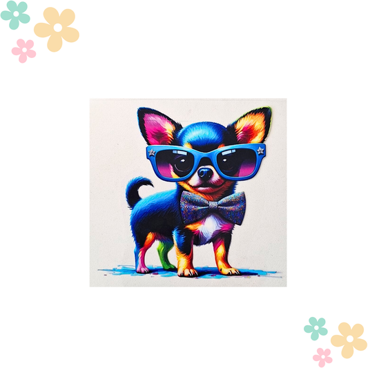 Chihuahua Stylé