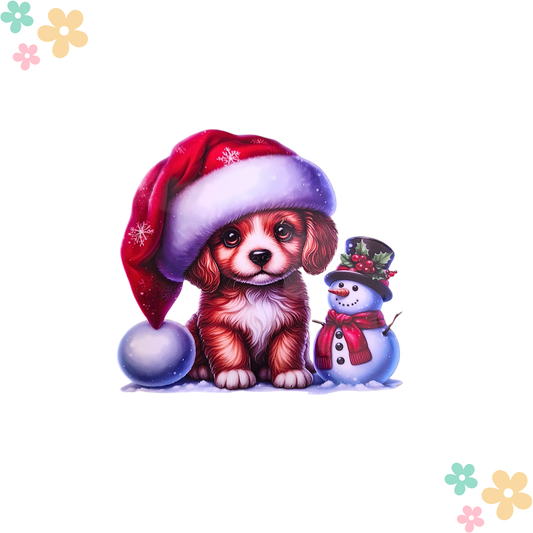 Chiot Bichon