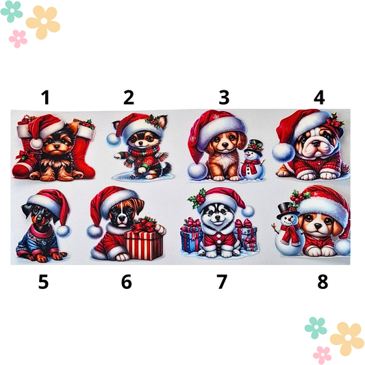 Chiots Noel
