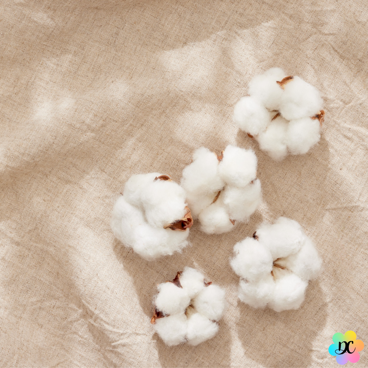 Bisou Tout Doux – Fondant parfumé Fleur de Coton