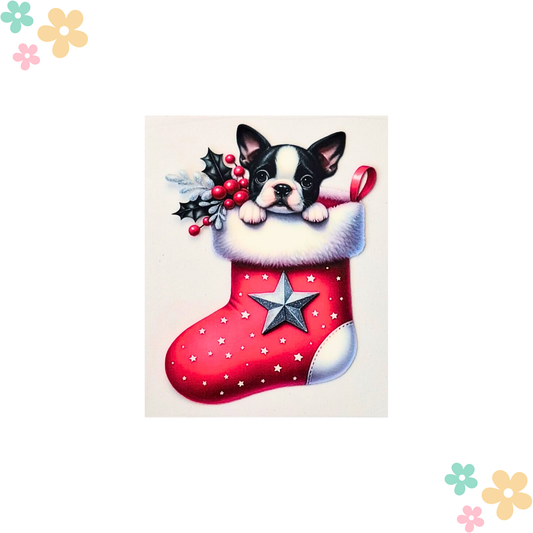 Bouledogue Français Chaussette
