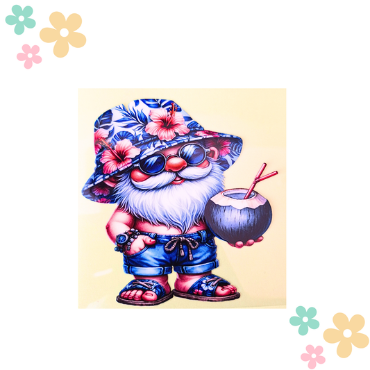 Gnome Coco bleu