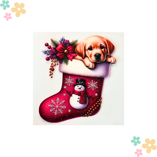 Labrador Chaussette