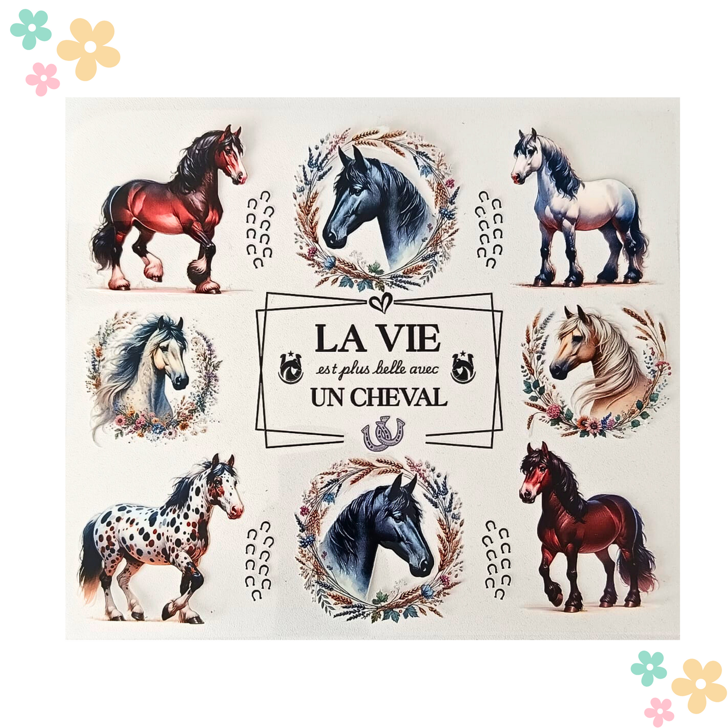 La vie avec un Cheval