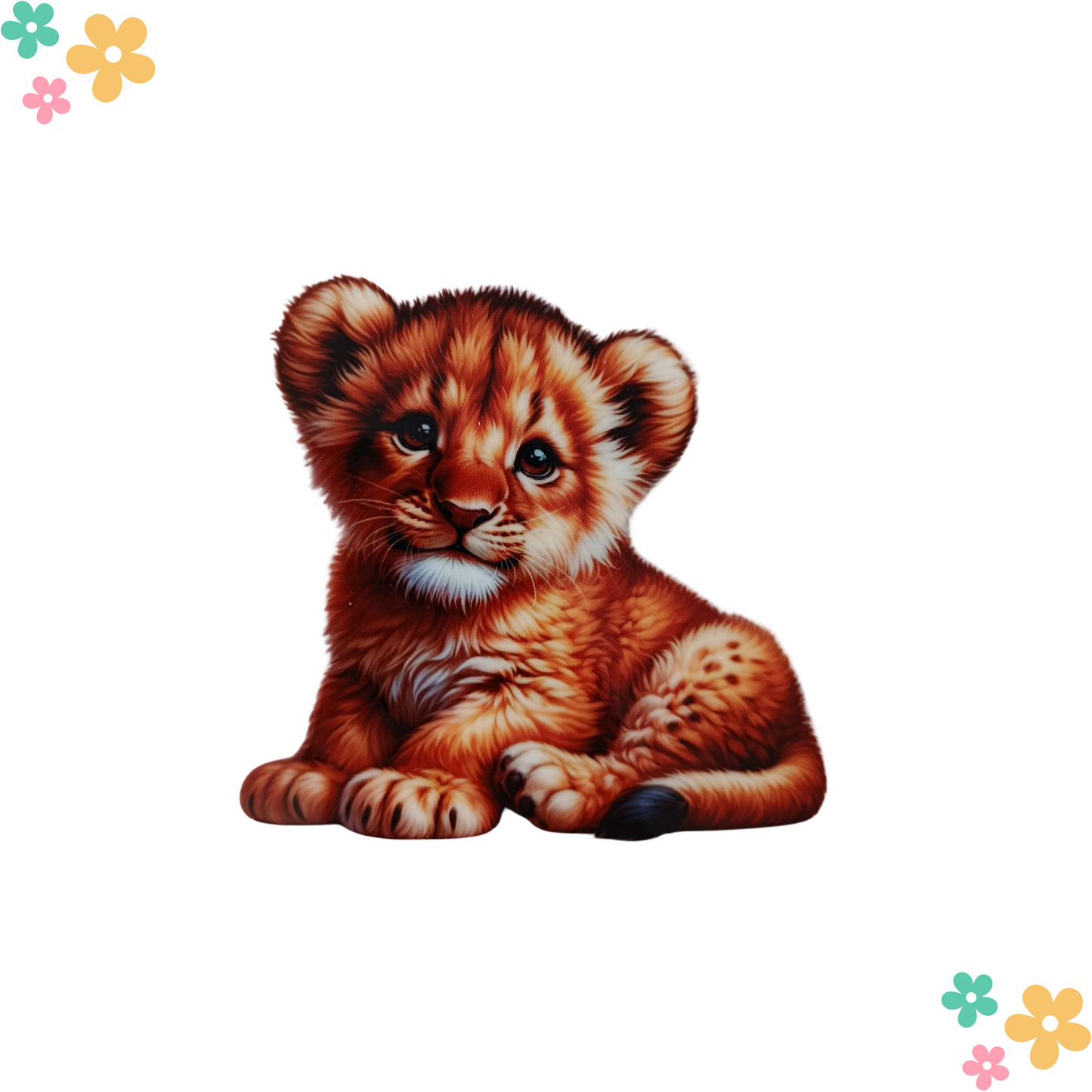 Lionceau #2