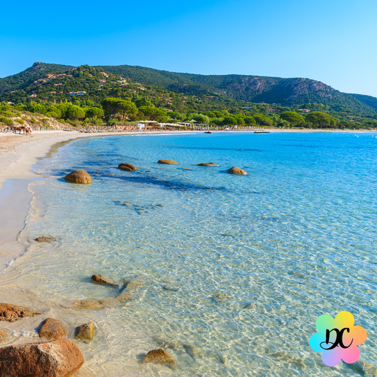 Bisou Solaire – Fondant Parfumé Tiaré, Nectarine & Ylang-Ylang