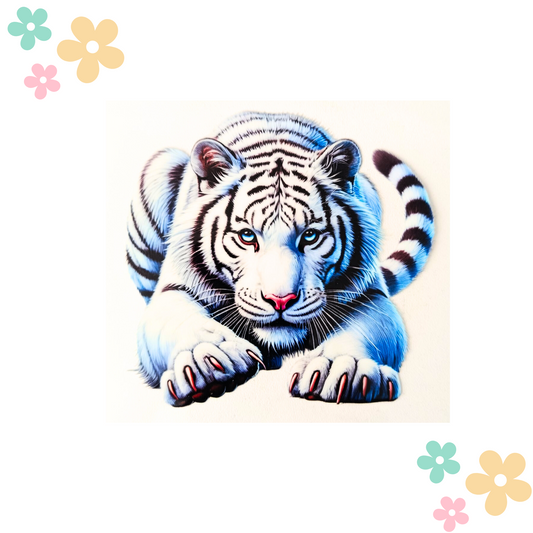 Tigre Couché