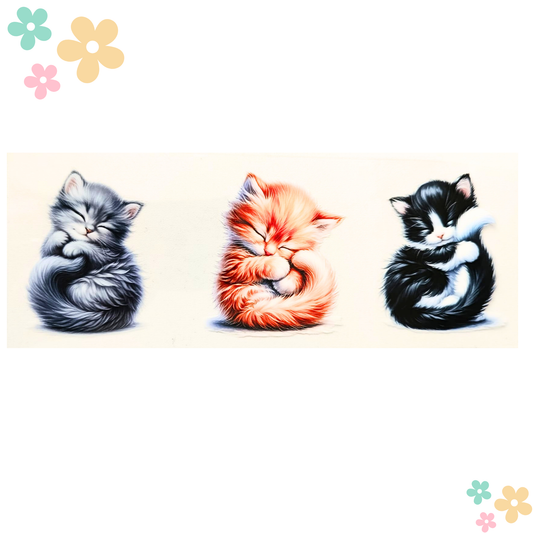 Wrap Trio De Chaton