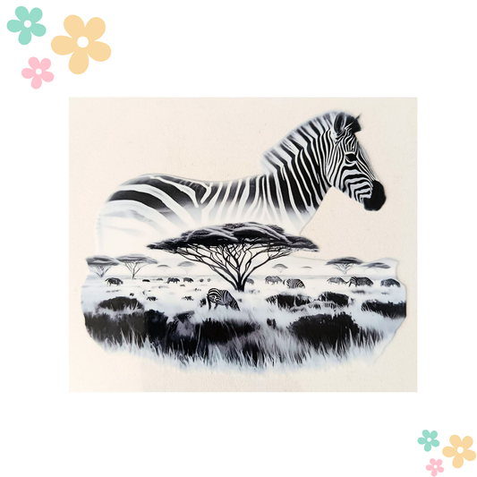 Zèbre Savane