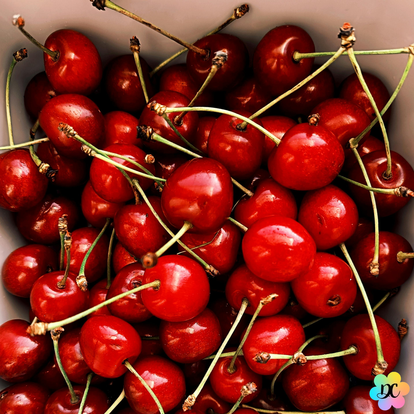 Bisou Amarena – Fondant parfumé Cerise