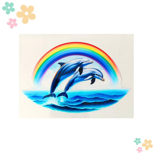 Duo Dauphin Arc en ciel