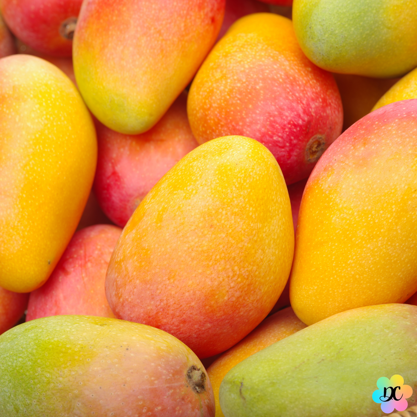 Bisou Antillais – Fondant parfumé Mangue Papaye