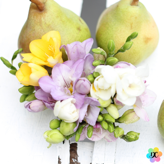 Bisou Délicat - Fondant parfumé Poire & Freesia